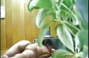 XXX خروس مکیدن آسیا با عکسسکسی کیر فریاد.