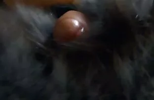 XXX دانشجوی آفریقایی که عکس کوس ملوس دارای رابطه جنسی نژادی است.